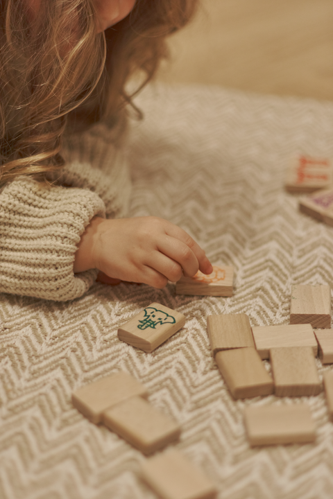 IGROTECO Mahjong stalo žaidimas vaikams – gyvūnų kaladėlės, 49 vnt.