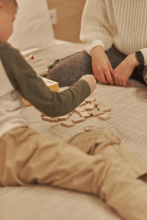 IGROTECO Mahjong stalo žaidimas vaikams – gyvūnų kaladėlės, 49 vnt.
