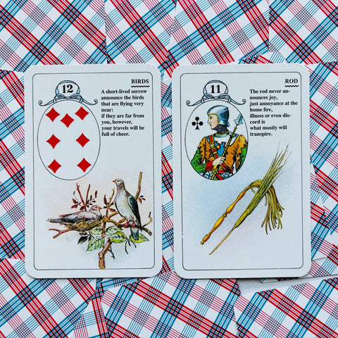 Lenormand kortos, dvi atverstos kortos (Birds ir Rod) ant mėlyno‑raudono languoto fono, detalių žvilgsnis