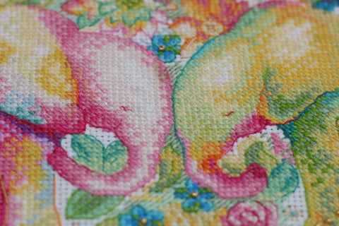 Siuvinėjimo kryželiu rinkinys „Švelnūs jausmai“, 14 ct, 16×24 cm, su Preciosa