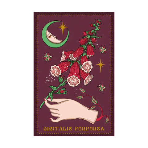 Herbariumo orakulas – botaninės fėjų kortos su knyga, 36 vnt