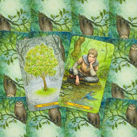 tarot kortos su pelėdų nugarėlėmis, dvi atverstos kortos – Keturi iš iššūkių ir Keturi iš regėjimų ant žaliuojančio fono