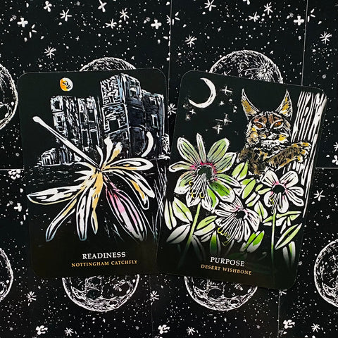 Orakulo kortos juodame žvaigždėtame fone, dvi kortos su ryškiomis gėlėmis, mėnuliu ir besižvalgančia kate