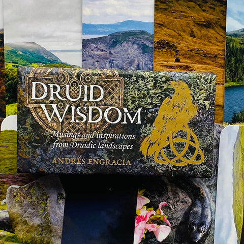 Knyga Druid Wisdom autorės Andrés Engracia priekinis viršelis su auksiniu paukščio simboliu ir keltų raštais, artimas kadras