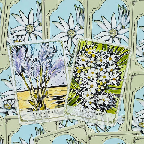 Kortos su augalų iliustracijomis — dvi atviros kortos (Mulla Mulla ir Lemon Myrtle) suslėptos ant pastelinio fono