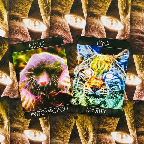Orakulų kortos dvi atverstos kortos „Mole – Introspection“ ir „Lynx – Mystery“ ant raštuotos nugarėlės, ryškios švytinčios iliustracijos