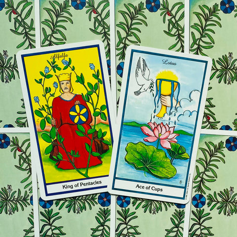 Tarot kortos dvi ryškios kortos King of Pentacles ir Ace of Cups ant žalio augalinio fono, skirtos asmeniniam taro skaitymui