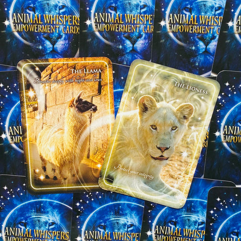 Animal Whispers Empowerment kortos
