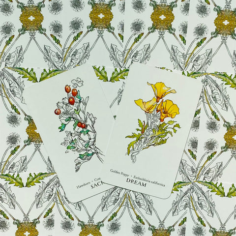 Hedgewitch Botanical Oracle kortos