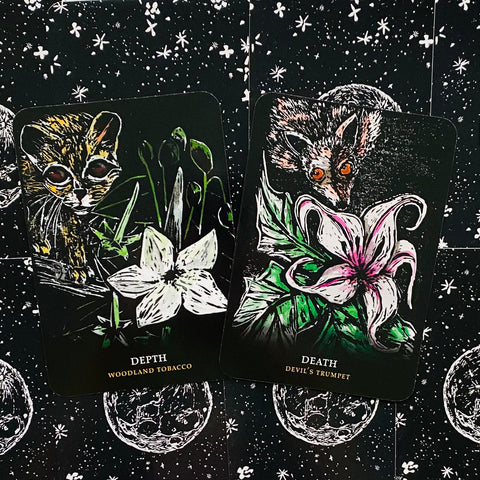 Tarot kortos juodame žvaigždėtame fone — dvi kortos (Depth ir Death) su kačiuku, lapėle ir skirtingų spalvų gėlėmis