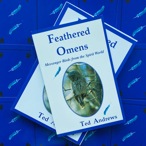 Feathered Omens Spiritual kortos Dragonhawk Publishing