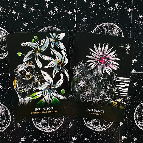 Orakulo kortos: dvi kortos ant juodo žvaigždėto fono — „Intention“ su kininiu jazminu ir „Influence“ (Spinystar) su rozetės žiedu