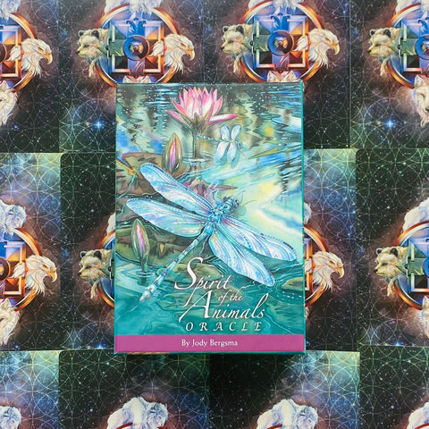 Orakulų kortos Spirit of the Animals Jody Bergsma – turkio viršelis su laumžirgiu, centre ant ornamentuoto fono