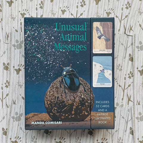 Kortų rinkinys Unusual Animal Messages (Manda Comisari) tamsiai mėlyna dėžutė su scarabais ir dviem pavyzdinėmis kortomis