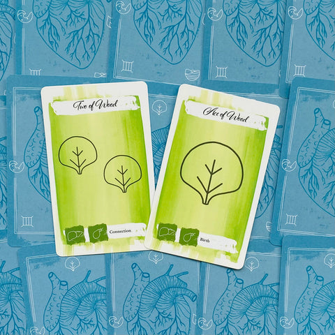 Tarot kortos žaliame Wood korte: tūzas (Gimimas) ir dvejetas (Ryšys) padėtos ant mėlynos nugarėlės