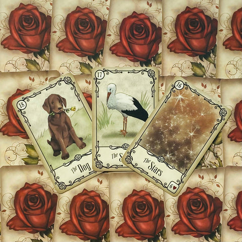Lenormand kortos trijų kortų rinkinys (Šuo, Gandrai, Žvaigždės) ant raudonų rožių fono, išdėstytos horizontaliai