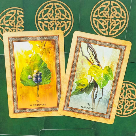 Tarot kortos su priekinėmis iliustracijomis Muin Vine ir Gort Ivy, pasvirusios ant žalio keltų simbolių fono