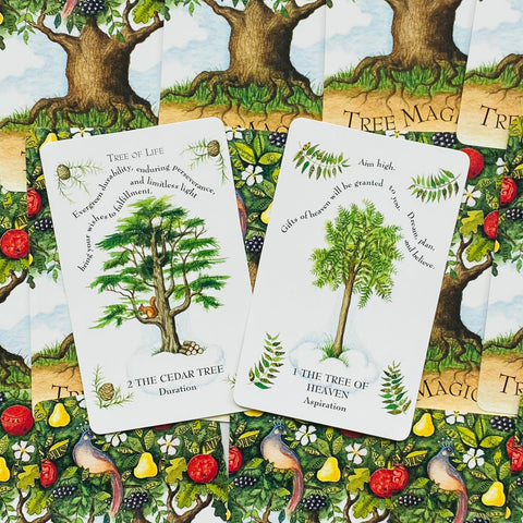 Kortos: dvi medžių orakulų kortos "Cedar" ir "Tree of Heaven" su akvareliniais piešiniais, priekiniai variantai ant raštuotų nugarėlių