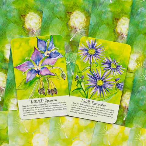 Soulflower Plant Spirit Oracle kortos