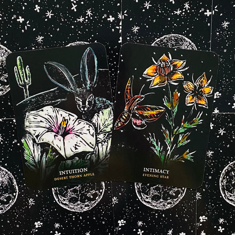 Orakulo kortos juodo dizaino su dviem kortomis: „Intuition“ (balta dykumos gėlė) ir „Intimacy“ (geltonos žvaigždės gėlės), stilingas stalinis kampinis variantas