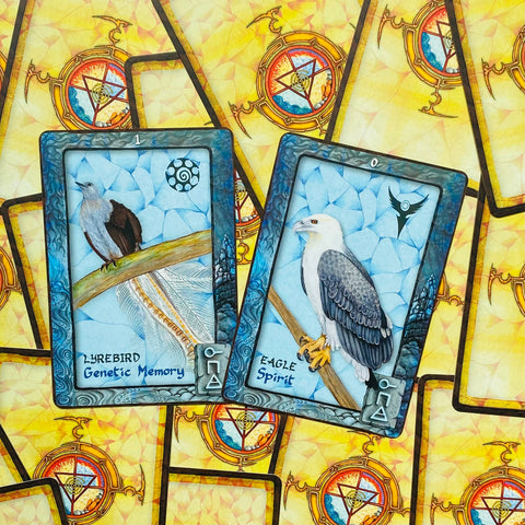 tarot kortos su paukščių tematikos iliustracijomis, mėlynos priekinės kortos Lyrebird ir Eagle ant geltonų nugarėlių