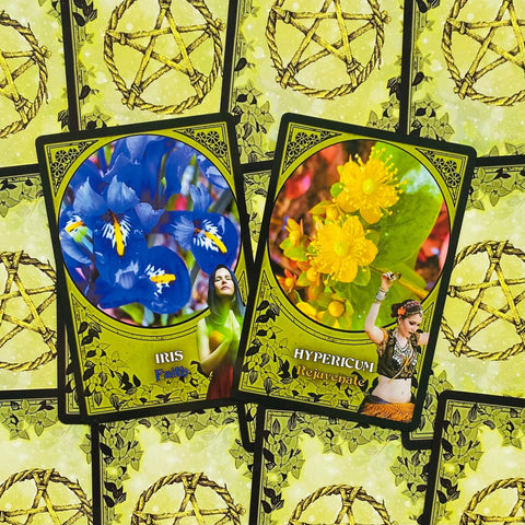 Tarot kortos su ryškiais Iris (mėlyna) ir Hypericum (geltona) paveikslais, atverstos persidengiančiomis priekinėmis kortomis
