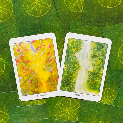 The Tree Angel Oracle kortų ir knygos rinkinys Earth Dancer