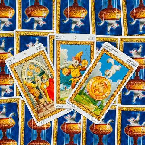 tarot kortos katėmis, trijų kortų išklotinė su aukso rėmais ant mėlyno nugarėlių rašto, fotografuota iš viršaus