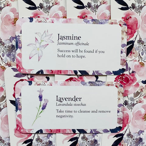 Kvapų kortelės Jasmine ir Lavender su akvareliniais rožiniais rėmais, padėtos sluoksniu, matomi pavadinimai ir trumpi aromatų patarimai