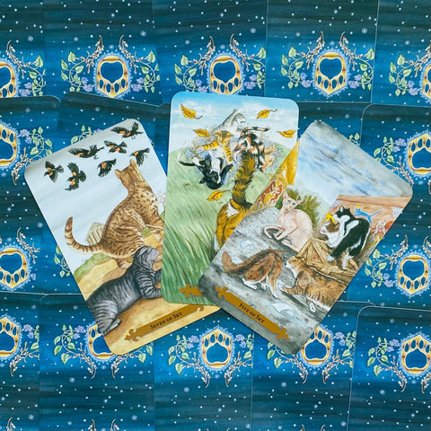 Tarot kortos su kačių iliustracijomis — trys atsiverstos kortos fane ant mėlynos ornamentuotos nugarėlės