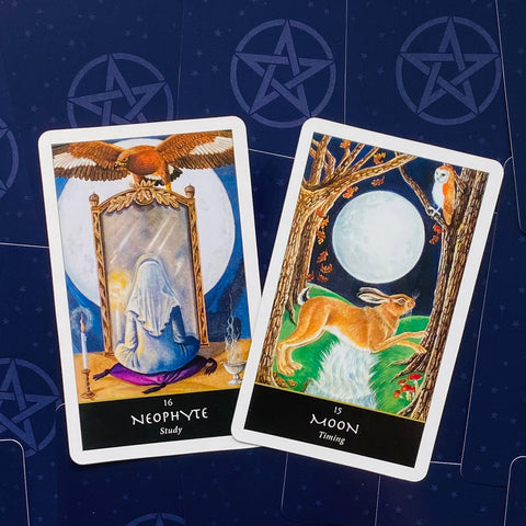 tarot kortos — dvi atverstos kortos (Neophyte ir Moon) ant tamsiai mėlyno žvaigždėto fono, kampu parodytos