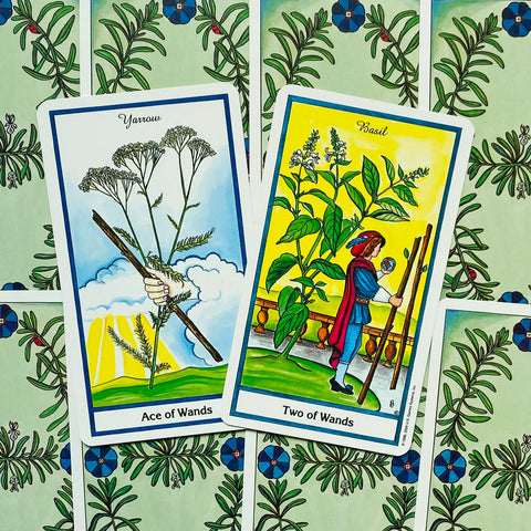 Tarot kortos — dvi ryškios kortos (Ace of Wands ir Two of Wands) parodytos iš viršaus ant žalsvo augalinio fono, idealiai tinka komplektui pavaizduoti