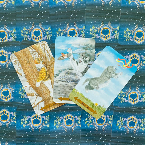 tarot kortos katėmis: trys atvertos iliustruotos kortos su debesų, medžio ir žolės scenomis ant mėlyno nugarėlio