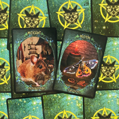 tarot kortos – žaliomis nugarėlėmis uždengtas komplektas su atvertomis kortomis Mouse (Advantage) ir Moth (Caution), detalus priekis