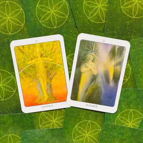 The Tree Angel Oracle kortų ir knygos rinkinys Earth Dancer