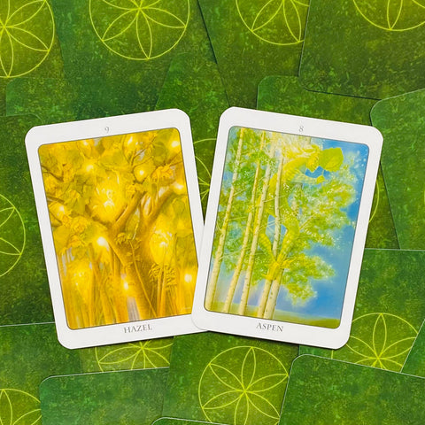 The Tree Angel Oracle kortų ir knygos rinkinys Earth Dancer