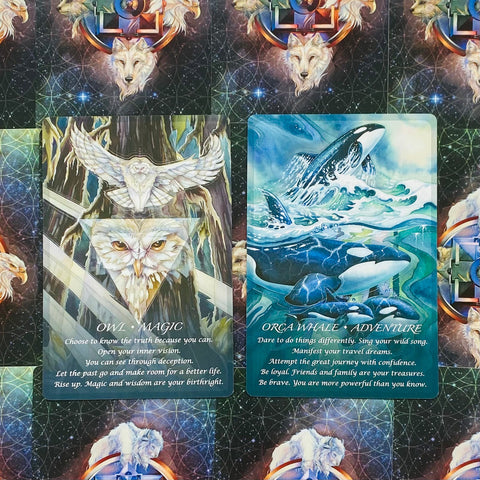 Kortos oracle su „Owl – Magic“ ir „Orca Whale – Adventure“ dizainais, dvi priekinės kortos ant kosminio fono