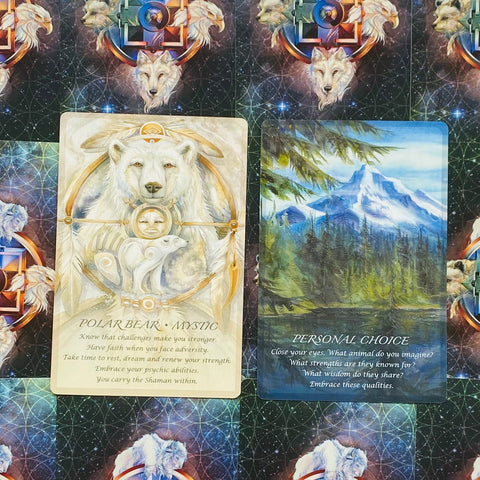 Orakulo kortos su dviem atverčiamais dizainais – baltasis lokys Polar Bear Mystic ir kalnų peizažas Personal Choice ant tamsaus žvaigždėto fono
