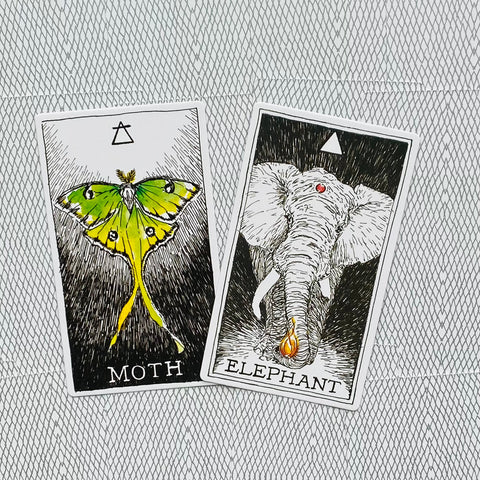Tarot kortos su Moth ir Elephant iliustracijomis, žaliai–geltonu drugeliu ir dramblio su liepsna, skirtos intuityviam skaitymui