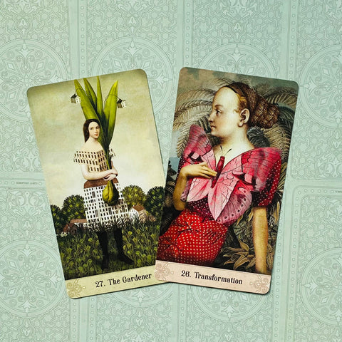 Tarot kortos su iliustracijomis — kortos „The Gardener“ ir „Transformation“ ant žalsvo rašto, fotografuotos iš viršaus