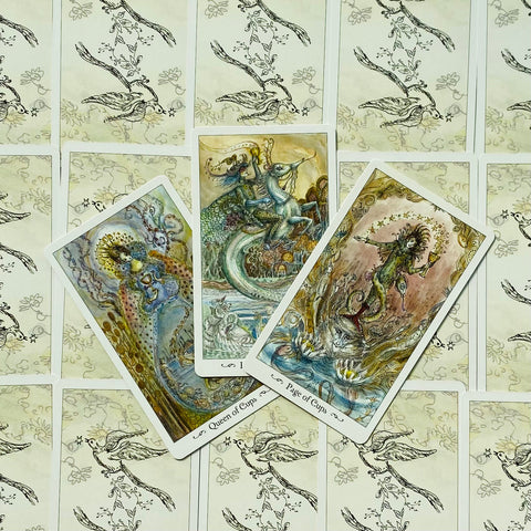 Tarot kortos akvarelinio stiliaus, trys atverstos kortos (Karalienė taurų, Puslapis taurų) ant paukščių raštuoto nugarėlių fono