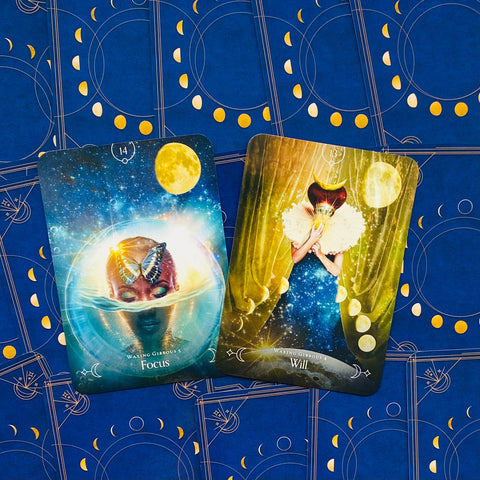 Tarot kortos su dviem atverstomis kortomis (Focus ir Will), mėlyno ir auksinio motyvų priekiniai piešiniai, fotografuota iš viršaus ant dekoratyvios mėlynos kilimėlio
