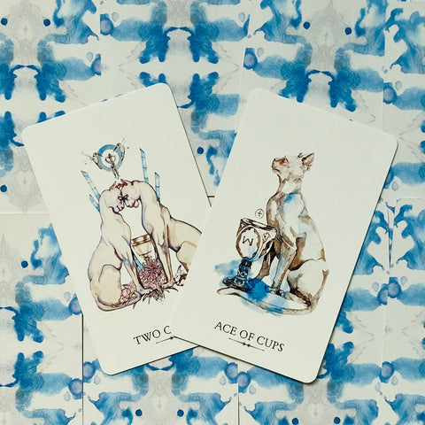 Tarot kortos su akvarelinėmis kačių iliustracijomis — Ace of Cups ir Two of Cups kortos ant mėlyno raštuoto fono, matomos atviros ir skirtingos nuo kitų galerijos variantų