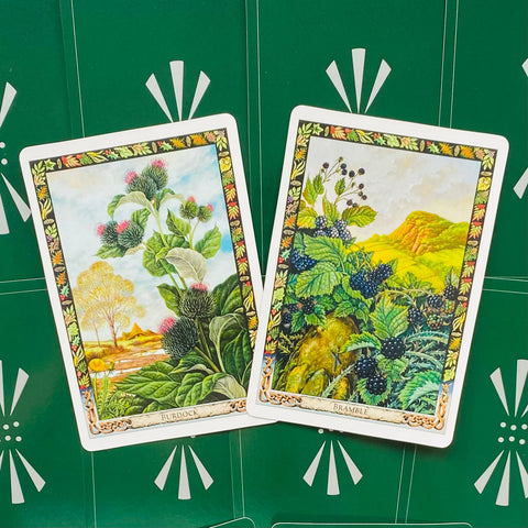 oracle kortos standartinio dydžio su Burdock ir Bramble botaninėmis iliustracijomis, ryškiai žalios spalvos ir dekoratyvūs rėmeliai, artimas kampas