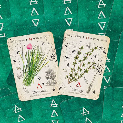 Orakulų kortos – dvi žolelių kortos (Divination: česnakėlės, Courage: čiobreliai) ant žalių nugarėlių, pakreiptos