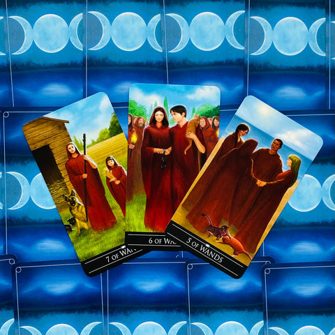 Tarot kortos — trijų kortų kompozicija: 5, 6 ir 7 Lazdelės kortos su mėlyna mėnulio nugarėle, išdėstytos fanuotu kampu
