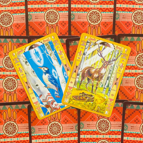 tarot kortos geltonu rėmeliu, dvi atverstos – elnio ir mėlyno paukščio piešiniai ant raudono ornamentuoto nugarėlės