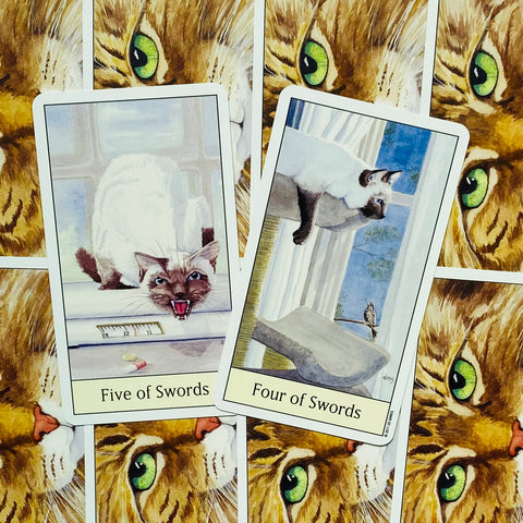 Tarot kortos katėmis, viršutinis kampas: dešinėje Four of Swords, kairėje Five of Swords ant ryškaus kačių akių fono