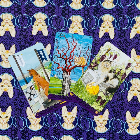Tarot kortos katinų tematikos: trijų kortų išklotinė (raudonas medis, pentaklis su kate, krantinė) ant violetinės dekoruotos drobės
