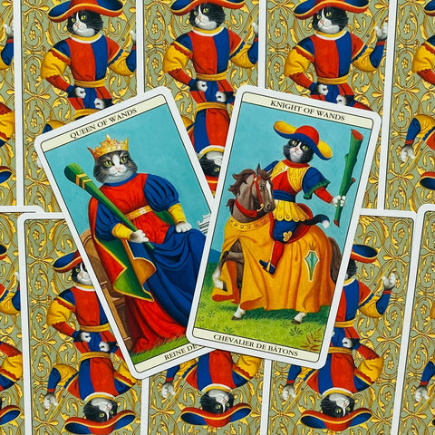 Tarot kortos su kačių iliustracijomis, artimas priekis: Karalienė rykštės ir Riteris lazdoms, ryškios spalvos